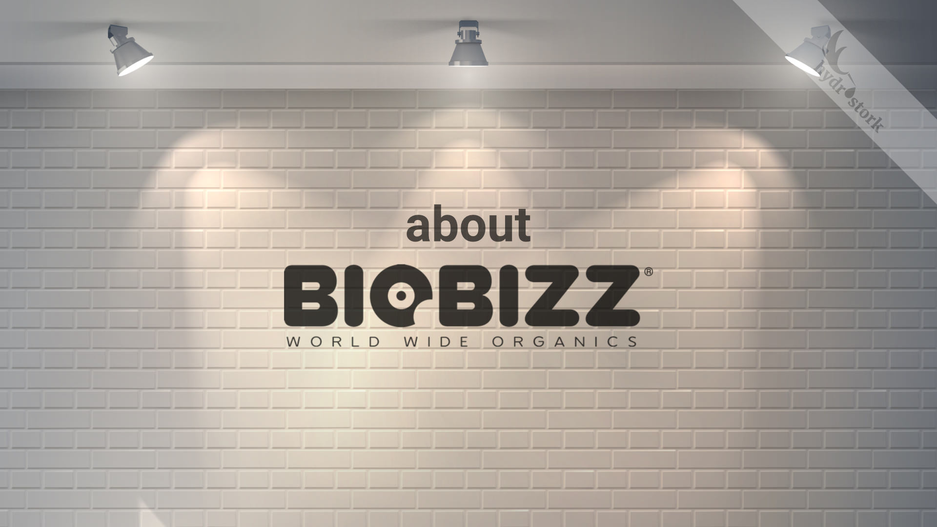 About Biobizz guide