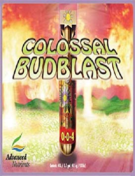 Advanced Nutrients Colossal Budblast