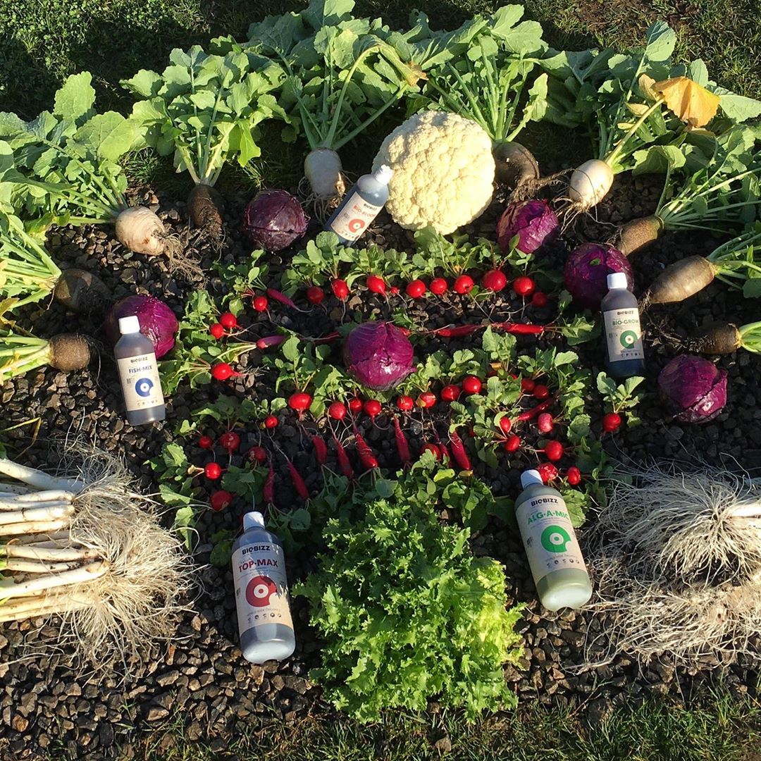 Fruits, veggies, nutrients, fertilisers, Biobizz bottles. 