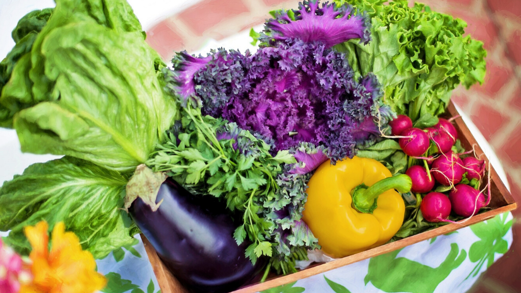 Immune Boosting Fruits And Veggies To Grow In UK