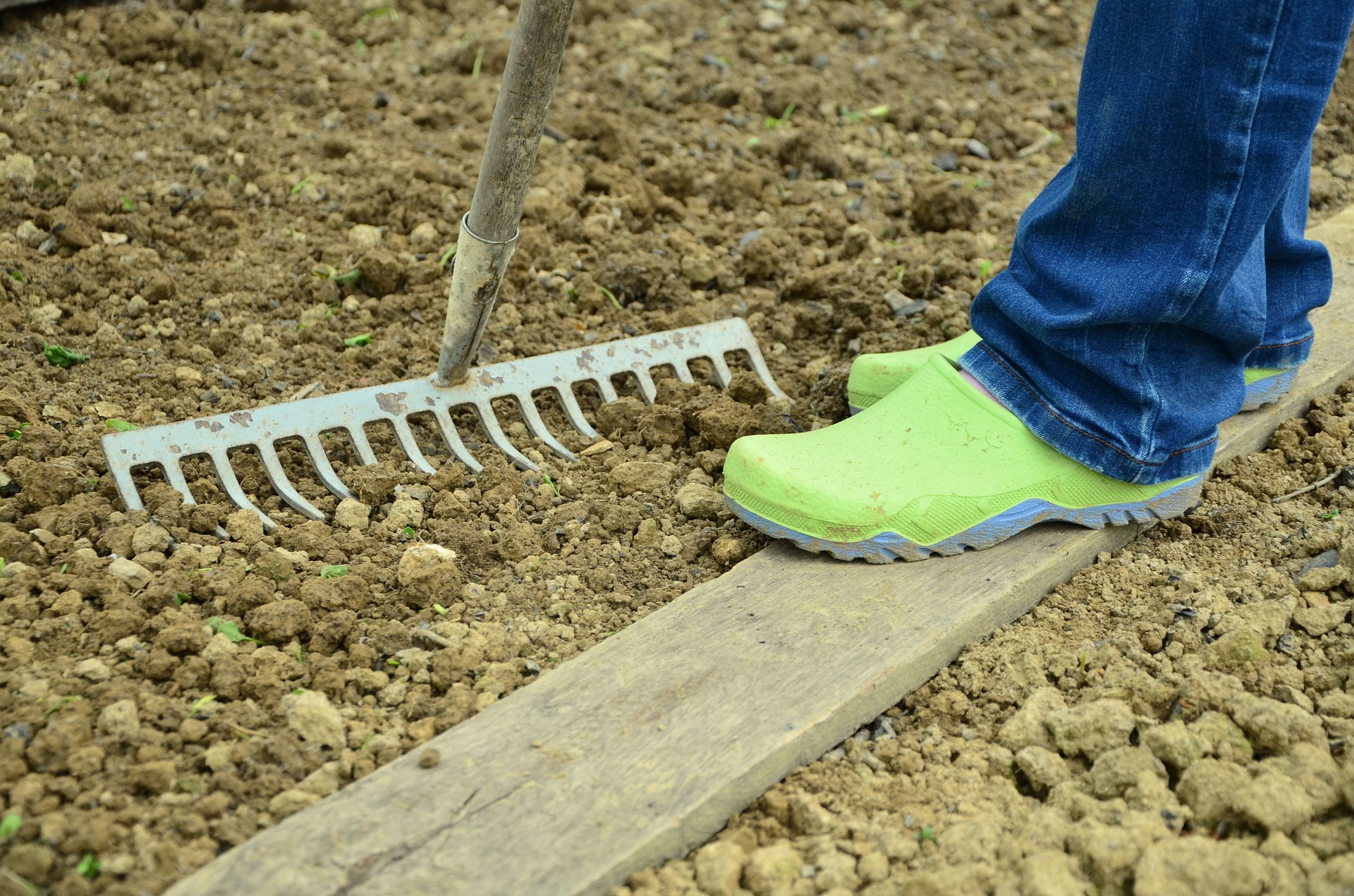 No-dig gardening is trending in UK in 2020
