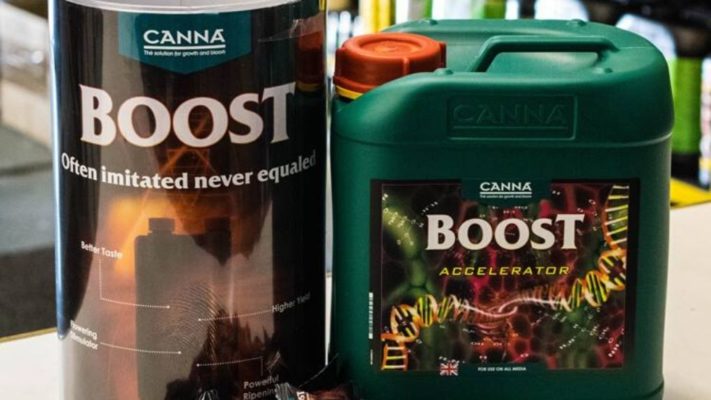 What's in Canna boost accelerator