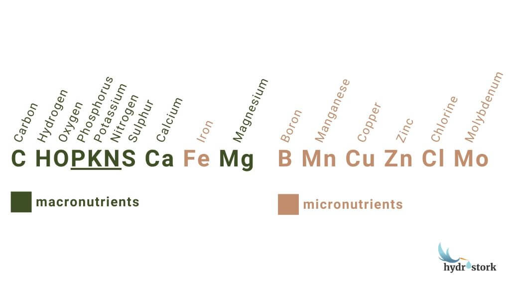 Primary macronutrients and micronutrients for plants.