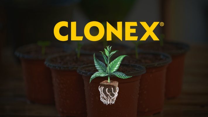 Clonex cover image