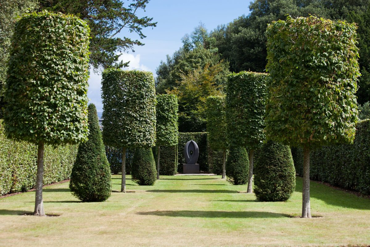 garden with cylinder shaped trees
