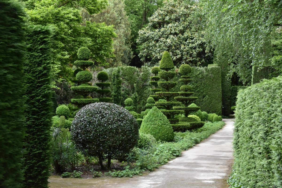variety of hedges and shrubs trimmed in different shapes
