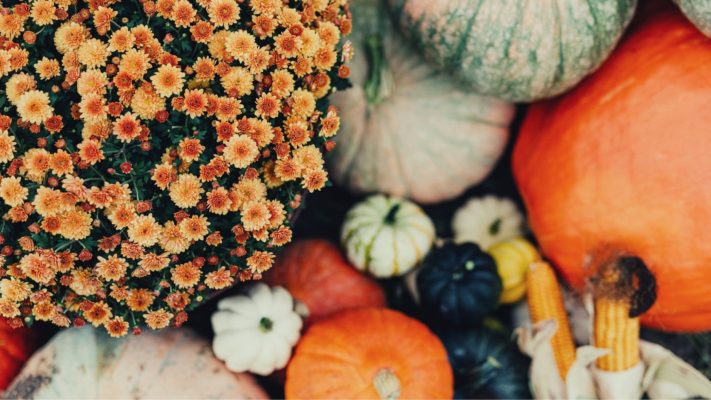 autumn gardening care - flowers and vegetables