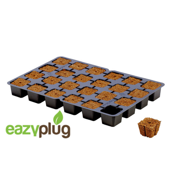 Eazy Plug Seedling Tray 77