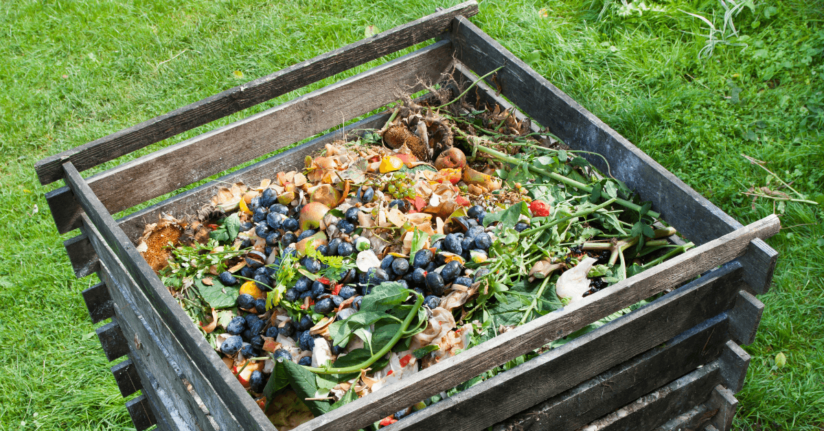 What are the different types of compost? Examples.