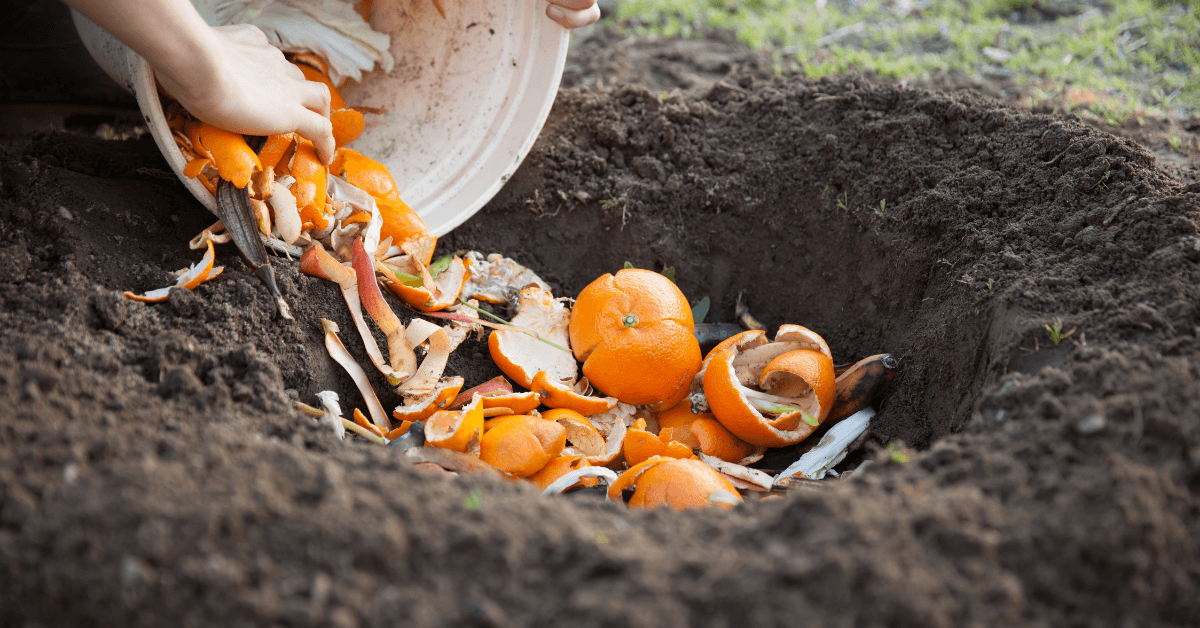 A guide to compost & garden soil improvers